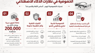 مخطط معلوماتي يشرح الخصوصية في الذكاء الاصطناعي مع أربعة محاور رئيسية مُرقَّمة من 01 إلى 04 والعناصر المصاحبة.