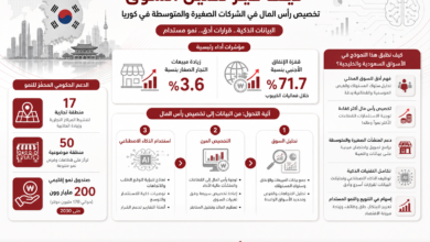 إنفوجرافيك تحليلي للسوق الكوري يضم خريطة كوريا وعلمها وأفق مدينة ومؤشرات رئيسية ونسب نمو واضحة من الوسط إلى الأعلى.